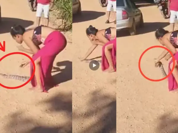 Watch as woman catches snake by hand and leaves people in disbelief